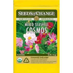  Seeds of Change S10710 Certified Organic Seashell Mix 