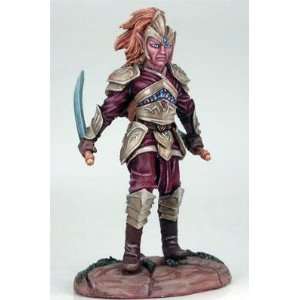    Visions in Fantasy Elven Dual Wield Warrior (1) Toys & Games