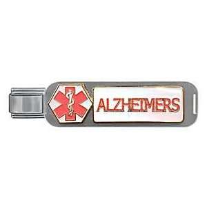 Alzheimers Large Life Links Medical Alert Attachment Italian Charm 