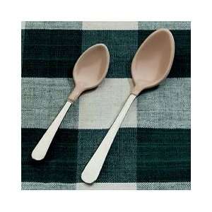  Plastic Coated Spoons   Coated Youthspoon Health 