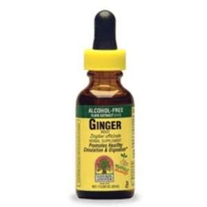    Ginger Root (Alcohol Free) LIQ (1z )