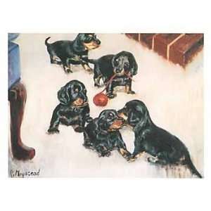 Longhaired Dachshund Puppies Notecards 