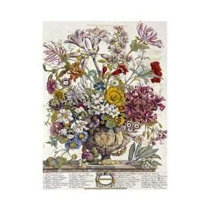   Furber   Twelve Months of Flowers 1730/October Giclee