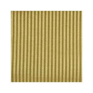  Stripe Herb 31605 305 by Duralee