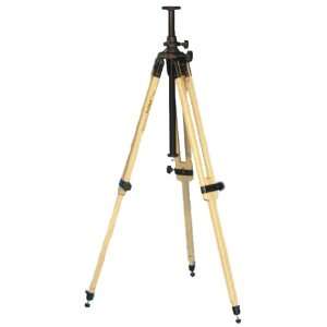  Berlebach Report 3042 2 Section Wood Tripod with Leveling 