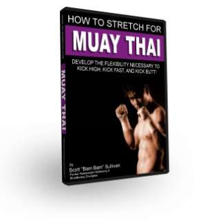 Set of Muay Thai Training DVD Videos MMA Martial Arts  