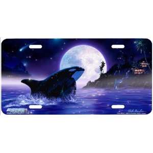 4062 Orca Moon Orca Whale License Plates Car Auto Novelty Front Tag 
