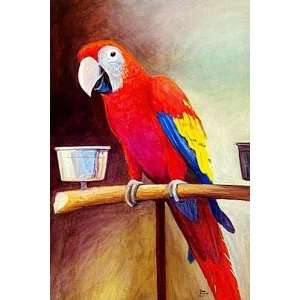  A Red Parrot in Its Cage