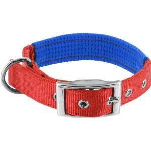  Kakadu Pet Orbit Padded Nylon Dog Collar, 1 Inch by 28 