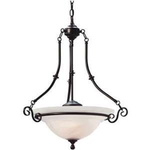 Dolan Designs 670 30 Arago 20 Light Pendant in Royal Bronze  