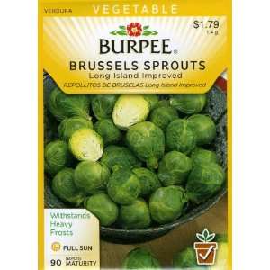 Burpee 60053 Brussels Sprouts Long Island Improved Seed 
