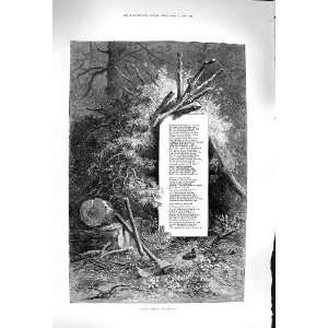  1879 Birds Busily Flitting To And Fro Song Lyrics