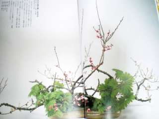  JAPANESE IKEBANA KADO UME SAKURA PLANTER VASE PHOTO 