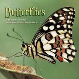  Butterfiles 2012 Wall Calendar 12 X 12