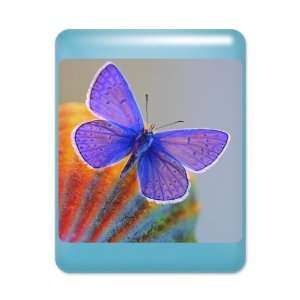  iPad Case Light Blue Xerces Purple Butterfly Everything 