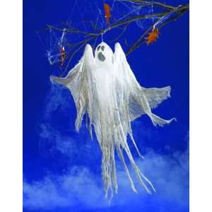   Ghastly Ghost Decoration   Halloween Light Up Ghost Toys & Games