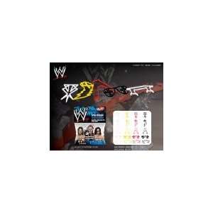  WWE Superstars Series 2 Logo Bandz Bracelets *Which 