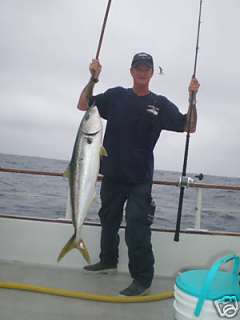 37lb Yellowtail on the Pacific Star