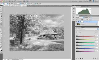 Creating Pseudo Infrared Images Using Photoshop © Ellen Anon
