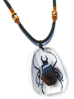 Ed Speldy East PSB1105 Real Bug Necklace Antler Horned Beetle pack of 