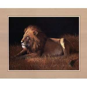  Lying Lion   Poster by W. Michael Frye (20x16)