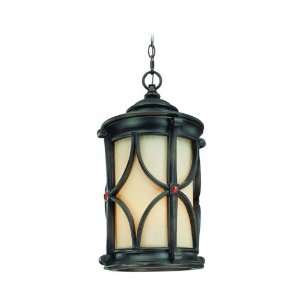  Troy Lighting F2077ANB Woodridge 3 Light Hanging Lantern 