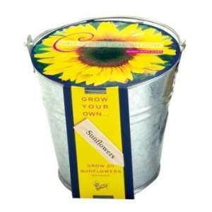  Sunflower Grow Bucket Patio, Lawn & Garden