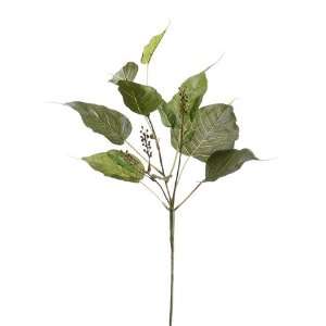  19 Bodhi Tree Leaf Pick w/Berry Two Tone Green (Pack of 24 