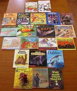 Lot of 21 SCHOLASTIC Children BooksDolphins, Eagle Song, Colors 