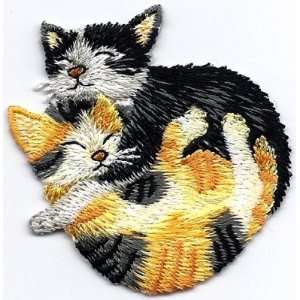  Cats  Two Sleeping Kittens   Iron On Applique Everything 