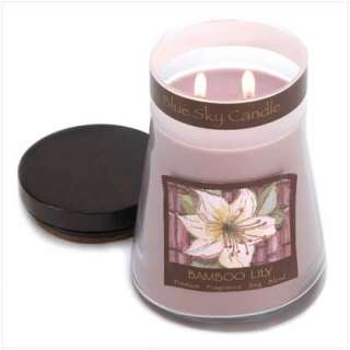 Bamboo Lily Soy Wax Jar Candle, 20 oz 2 wicks NEW  