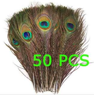 NEW 50 natural peacock tail feathers,about 26 30cm  