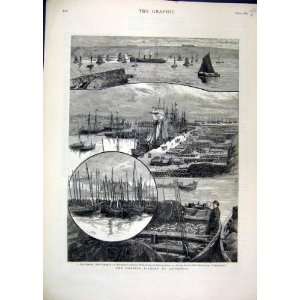  1883 Herring Fishery Caithness Wick Harbour Boats Catch 