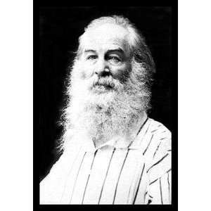   Paper poster printed on 12 x 18 stock. Walt Whitman