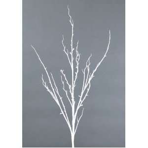 Pack of 12 Natures Peace Contemporary White Decorative Christmas 