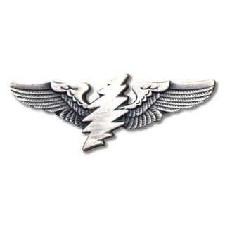 The 13 point lightning bolt taken from the Steal Your Face logo is 