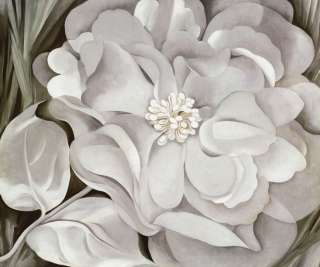 White Calico Flower, Color Print by Georgia OKeeffe  