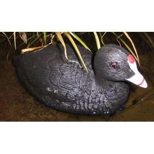  Tanglefree 13 Coot Duck Decoys 12   Pk. Sports 