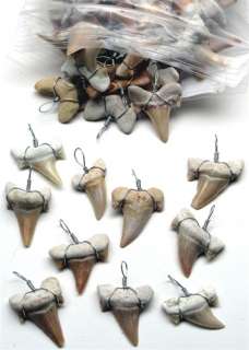 10x SHARKS TEETH PENDANTS Sharks Tooth Bulk Lot NEW  