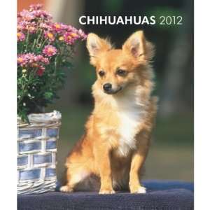   Chihuahuas 2012 Hardcover Weekly Engagement Calendar 