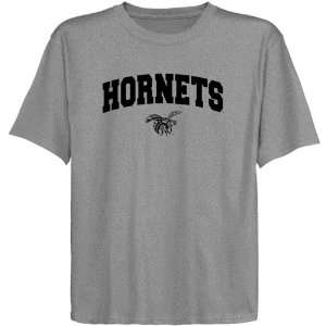  NCAA Alabama State Hornets Youth Ash Logo Arch T shirt 