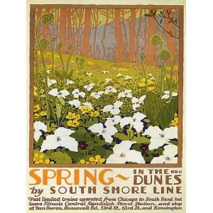 SPRING IN THE DUNES FLOWERS BY SOUTH SHORE LINE CHICAGO ILLINOIS SMALL 