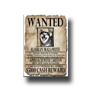 Alaskan Malamute Wanted Fridge Magnet