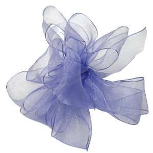  Offray Wired Edge Encore Sheer Craft Ribbon, 5/8 Inch Wide 