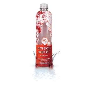  Water 12 pack   Omega 3 Enriched Flavored Water Health & Personal