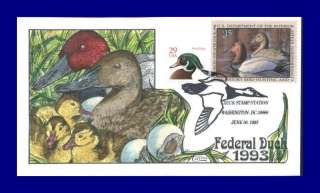 COLLINS HAND PAINTED RW60 Duck Stamp 1993 SOLD OUT  