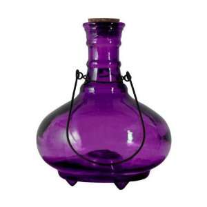  Lantern Wasp Trap Purple (Insect Control and Repellents 