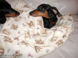 Your Doxies in Our Snuggle Bags items in Whats Up Dox Dachshund 