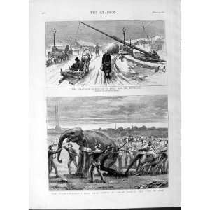   1877 Roumania Sports Lillie Bridge Elephant Tug Of War
