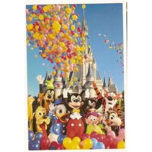  Walt Disney World Magic Kingdom 4x6 Postcard 0100 11617 